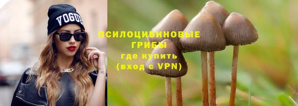 ПСИЛОЦИБИНОВЫЕ ГРИБЫ Белоозёрский