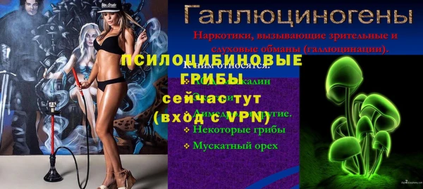 ALPHA PVP Беломорск