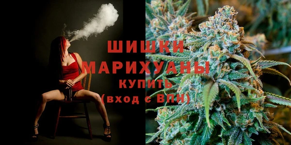 ПСИЛОЦИБИНОВЫЕ ГРИБЫ Белоозёрский