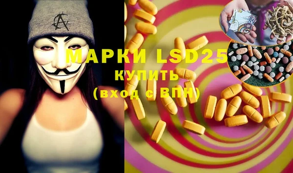 ПСИЛОЦИБИНОВЫЕ ГРИБЫ Белоозёрский