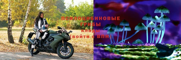 mdpv Белокуриха