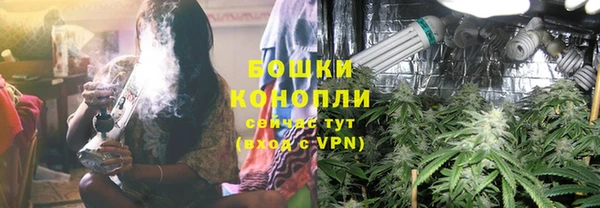 ПСИЛОЦИБИНОВЫЕ ГРИБЫ Белоозёрский