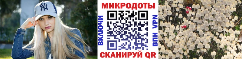 Псилоцибиновые грибы Psilocybe  Кувандык 