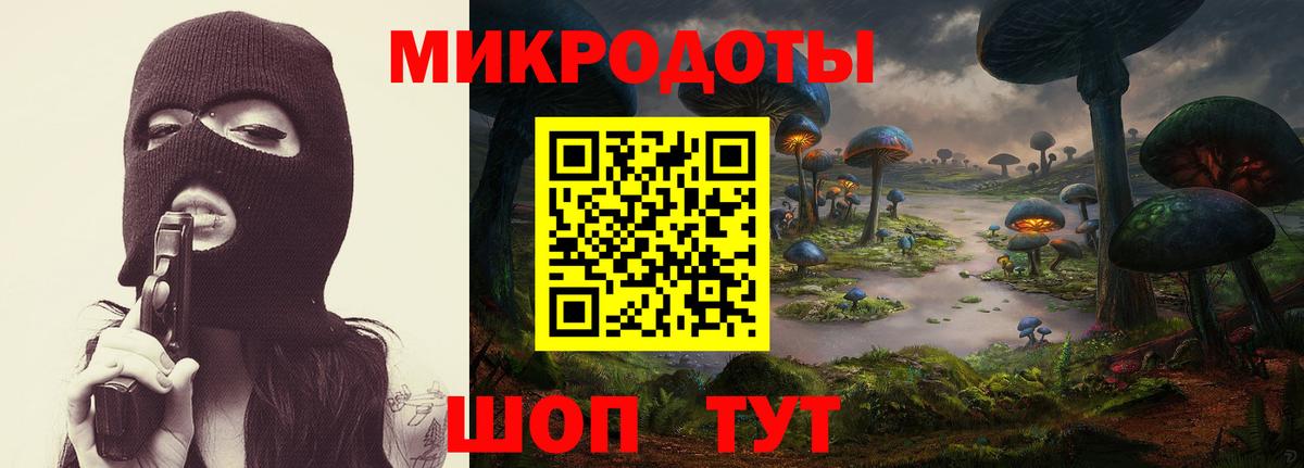 Кувандык  как найти закладки  Вход с VPN  Галлюциногенные грибы Psilocybe 